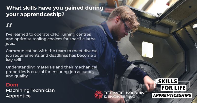 apprentice_spotlight_dom